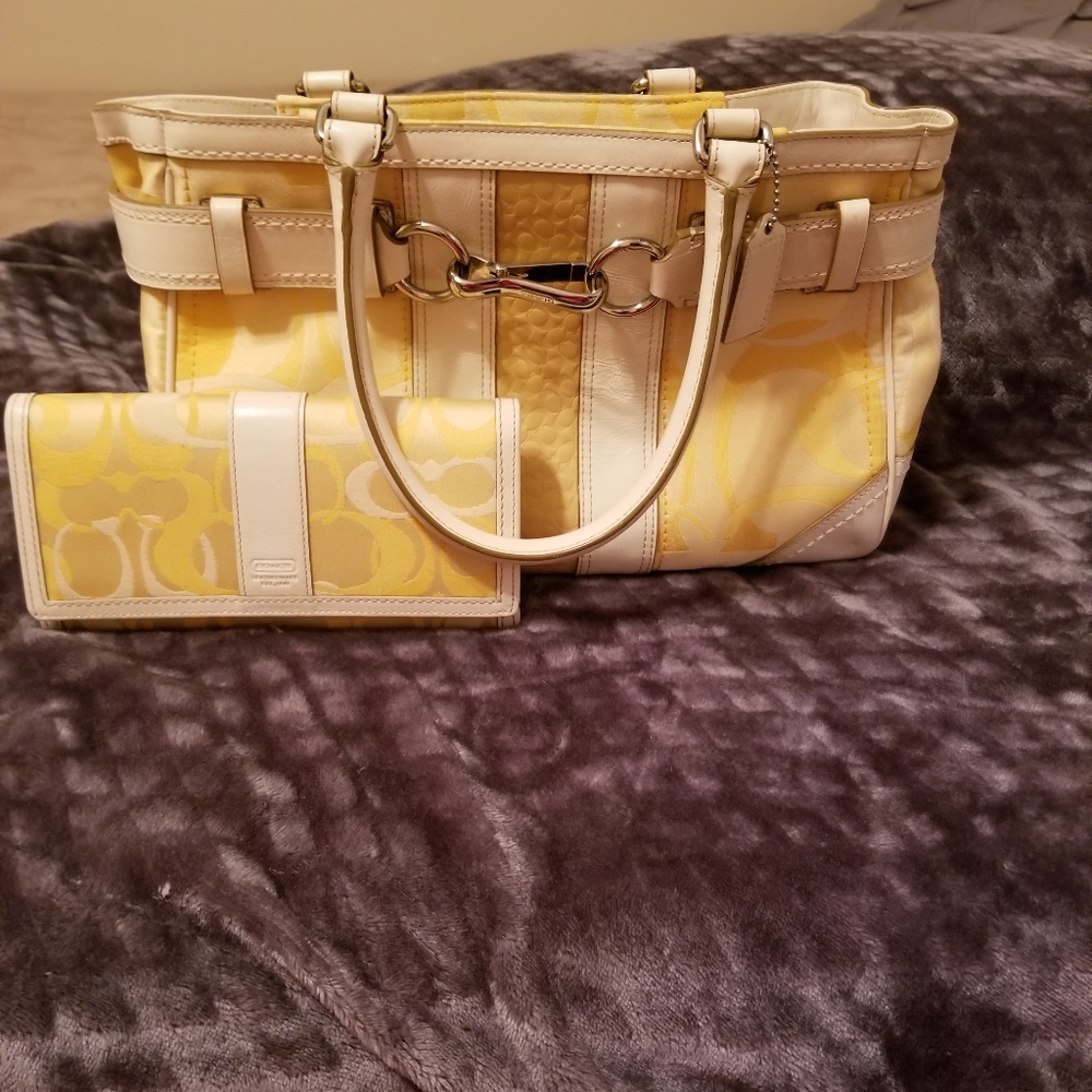 Purse & wallet